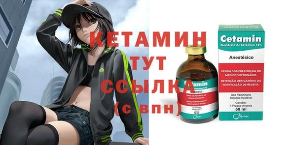 шишки Абаза