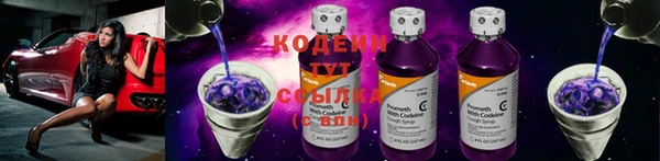 шишки Абаза