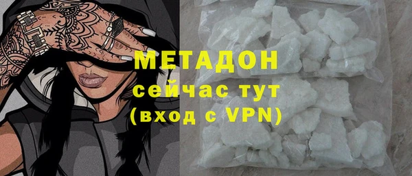 шишки Абаза