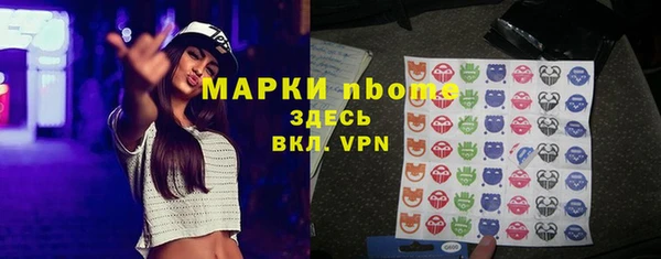 шишки Абаза
