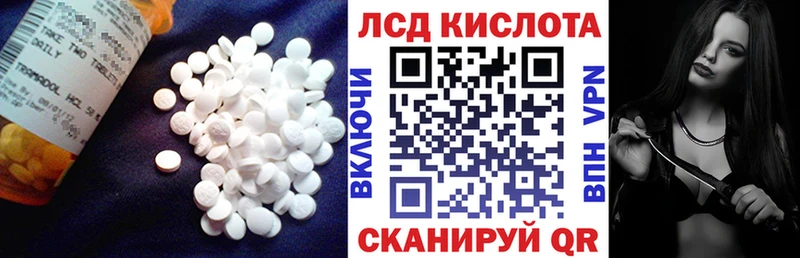 ЛСД экстази ecstasy  где купить наркоту  Куровское 