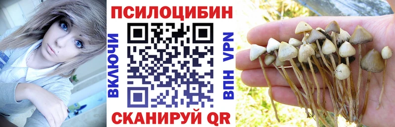 Псилоцибиновые грибы Cubensis  Куровское 